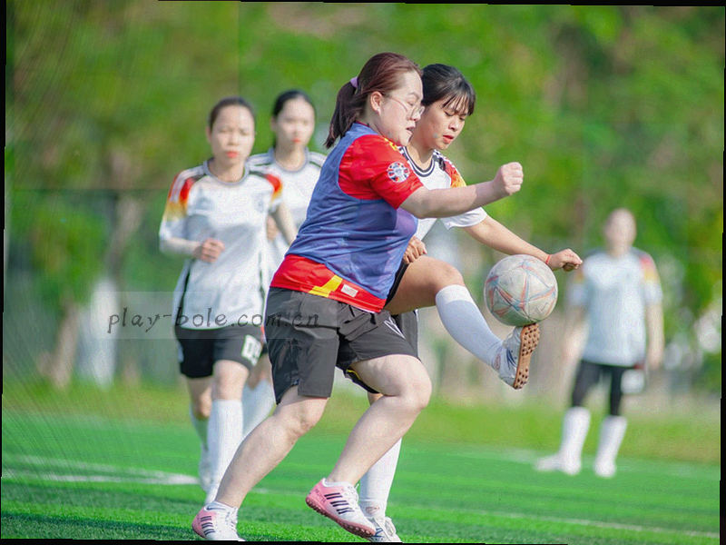 博乐对照稳定版界面示意，简洁稳定