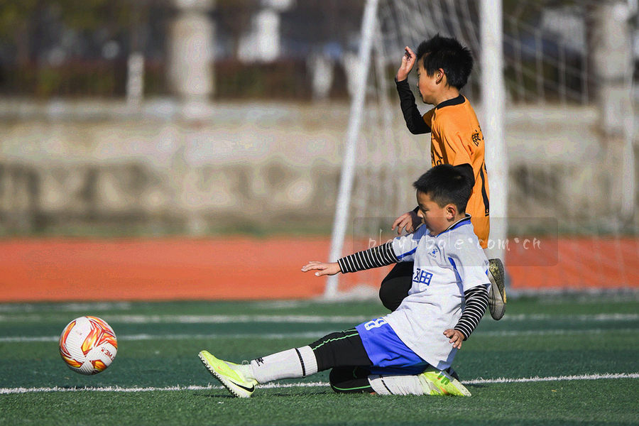 博乐站内下载使用指南流程图，三步操作